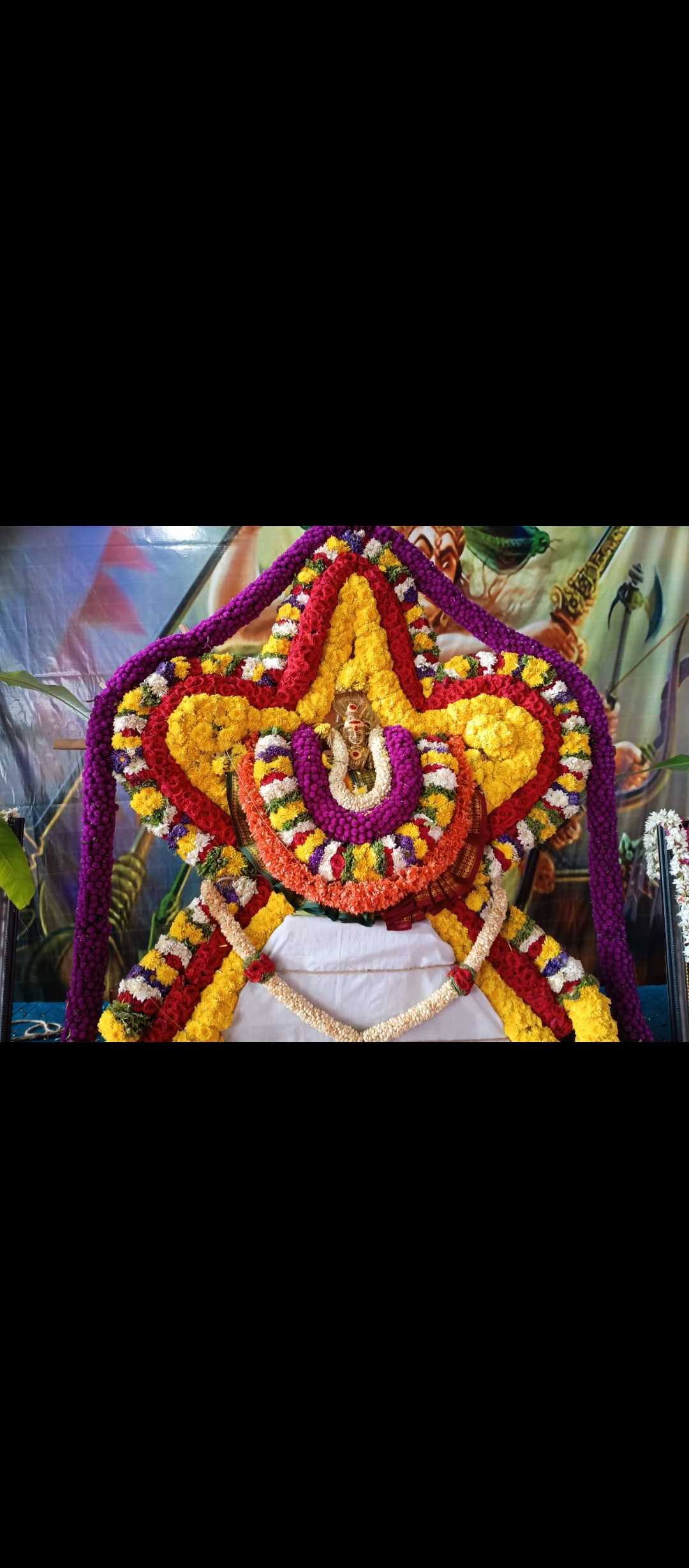 Profile image of seller