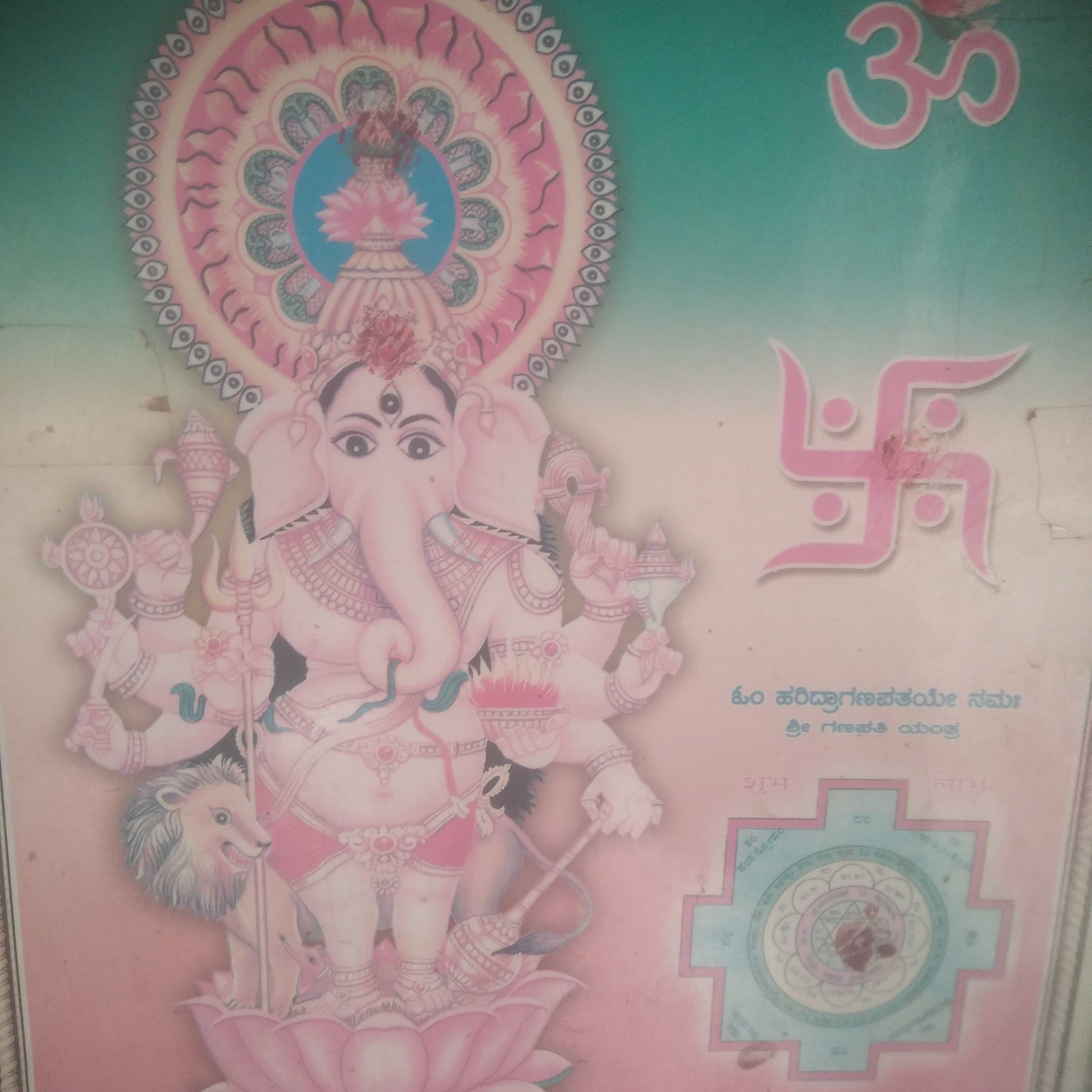 Profile image of seller