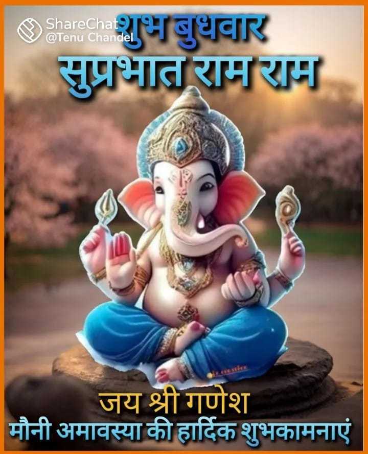 Profile image of seller