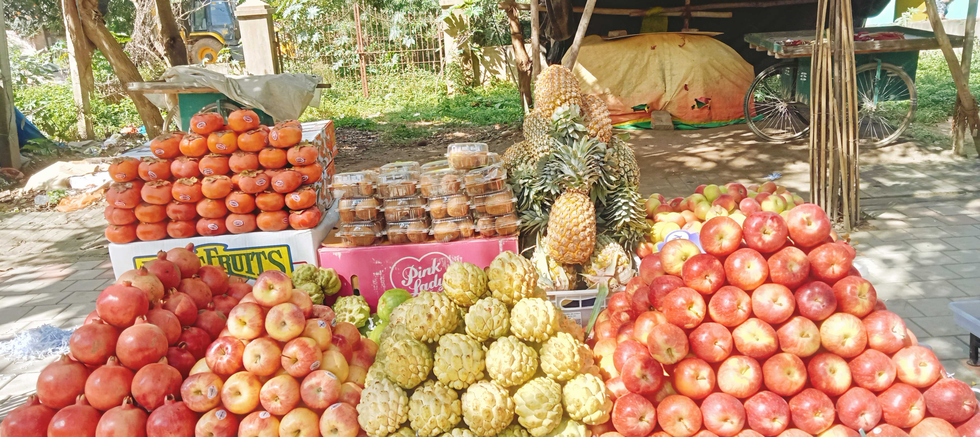 Profile image of seller