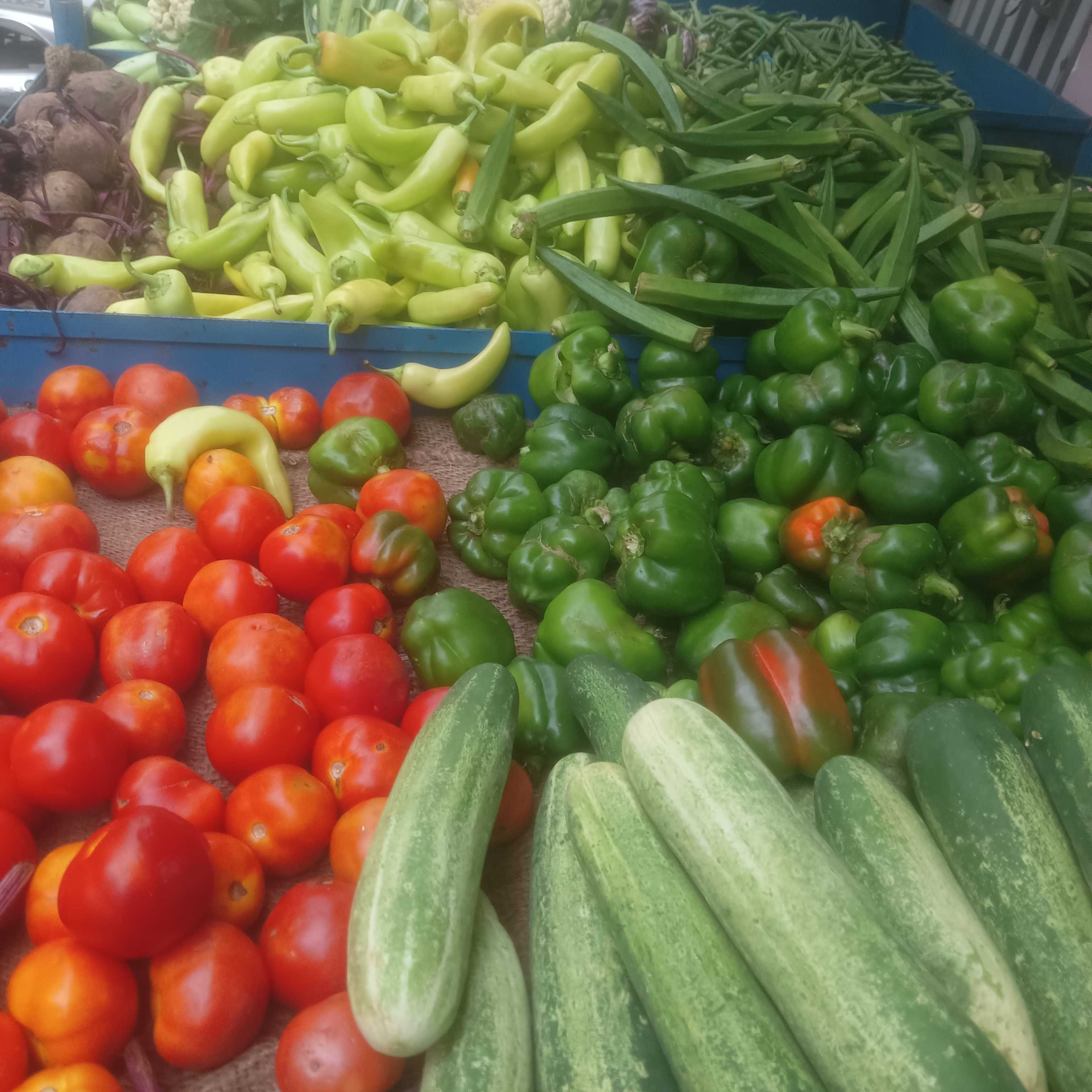 Profile image of seller