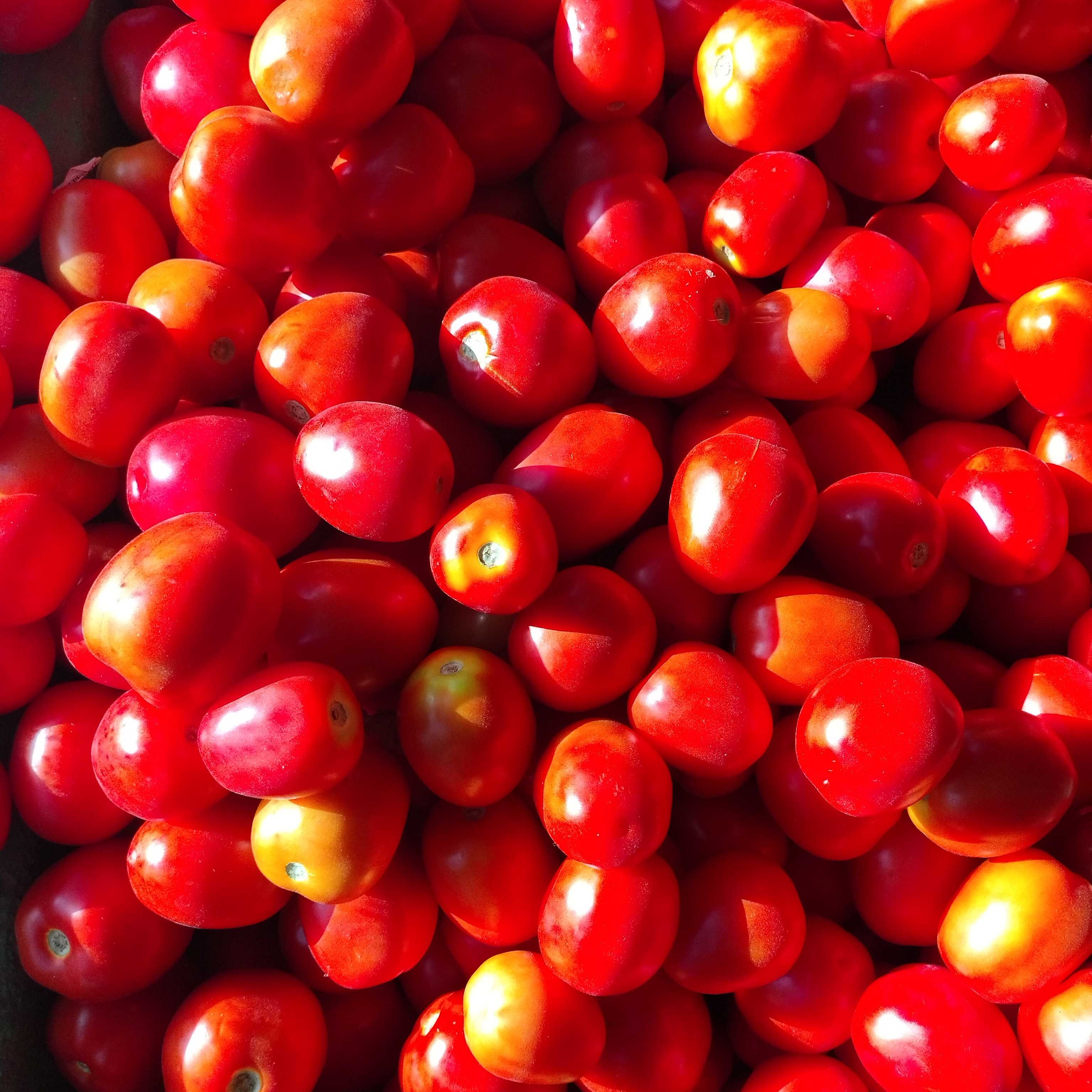 Profile image of seller