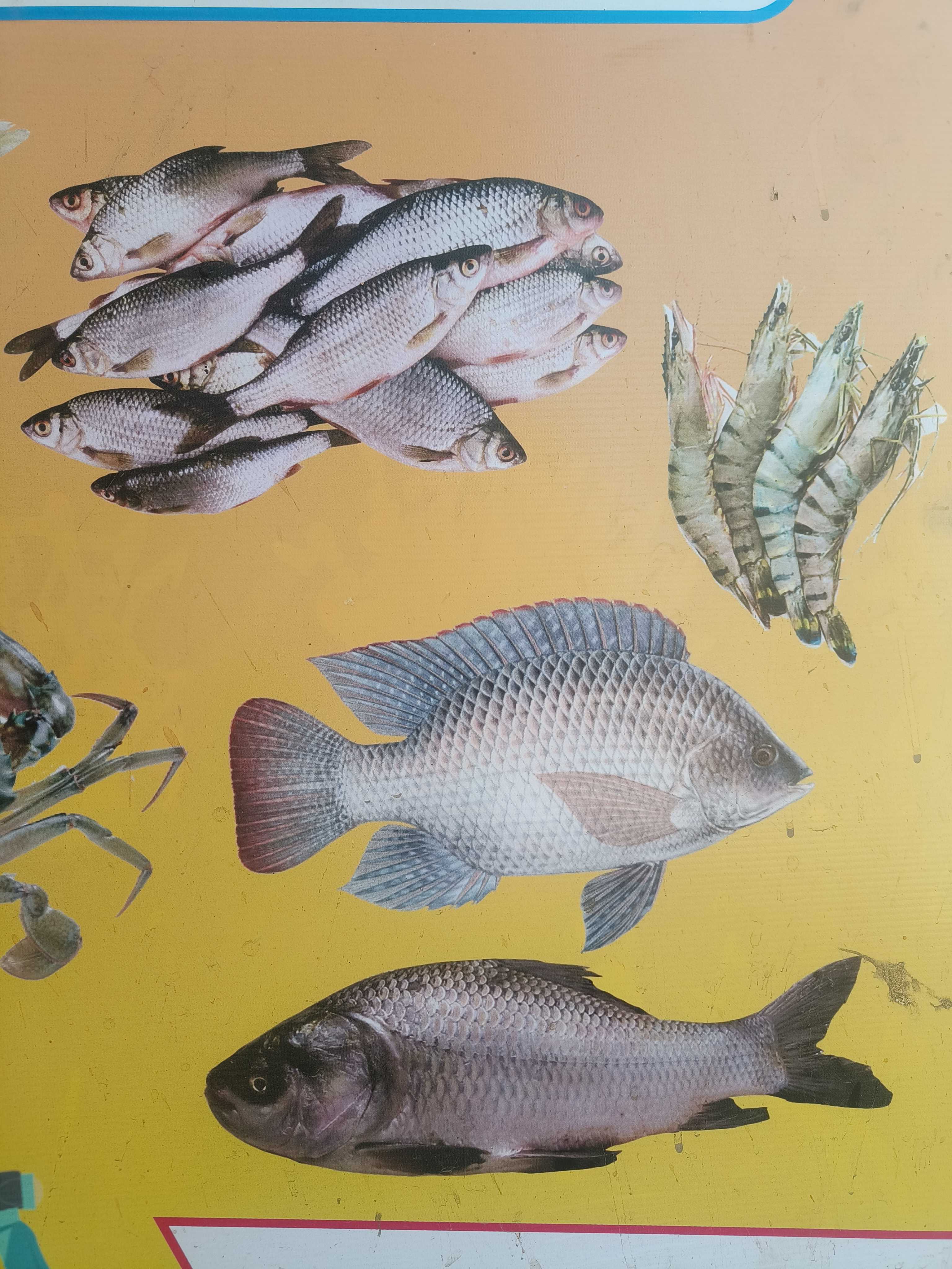 Profile image of seller