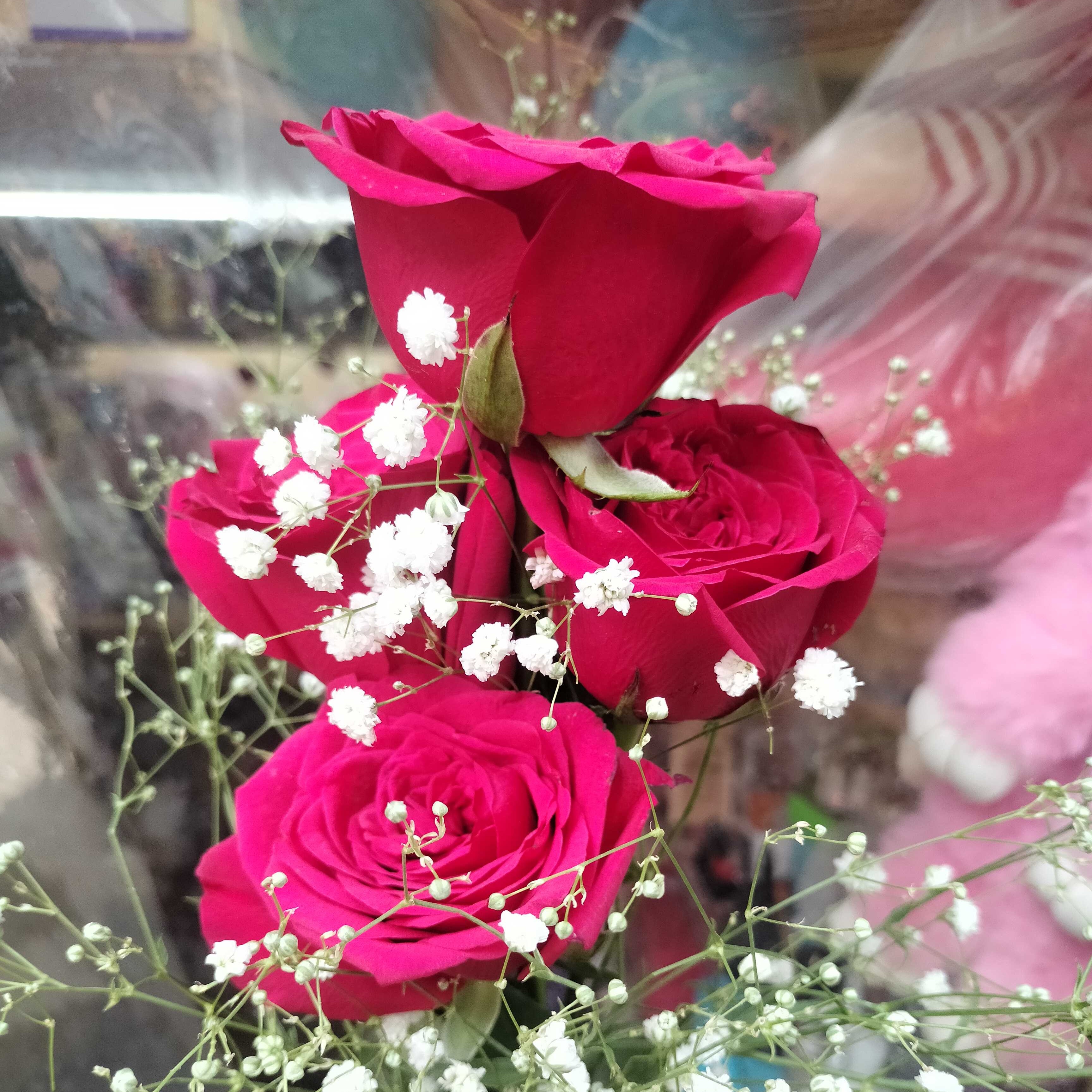 Profile image of seller