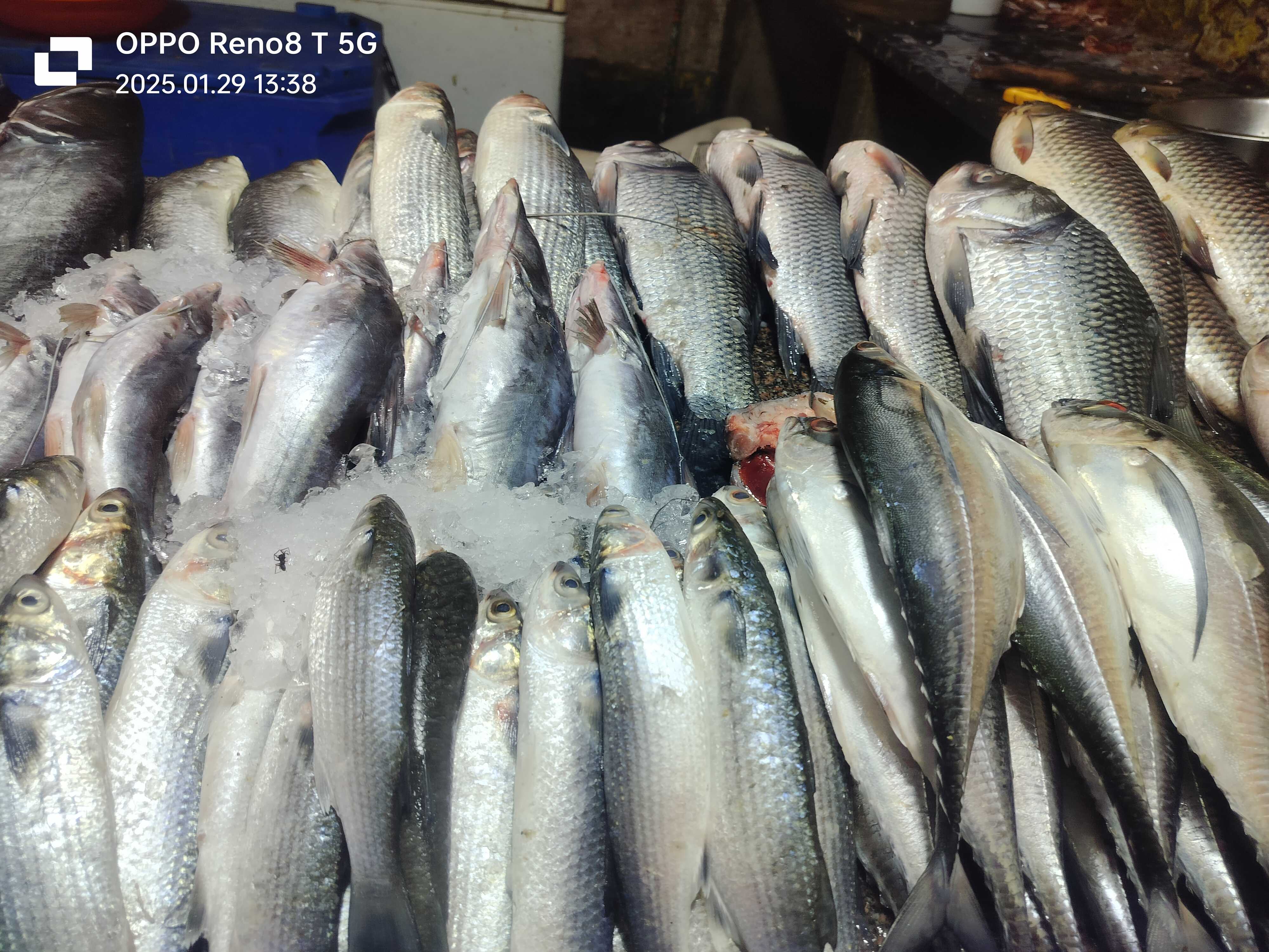 Profile image of seller