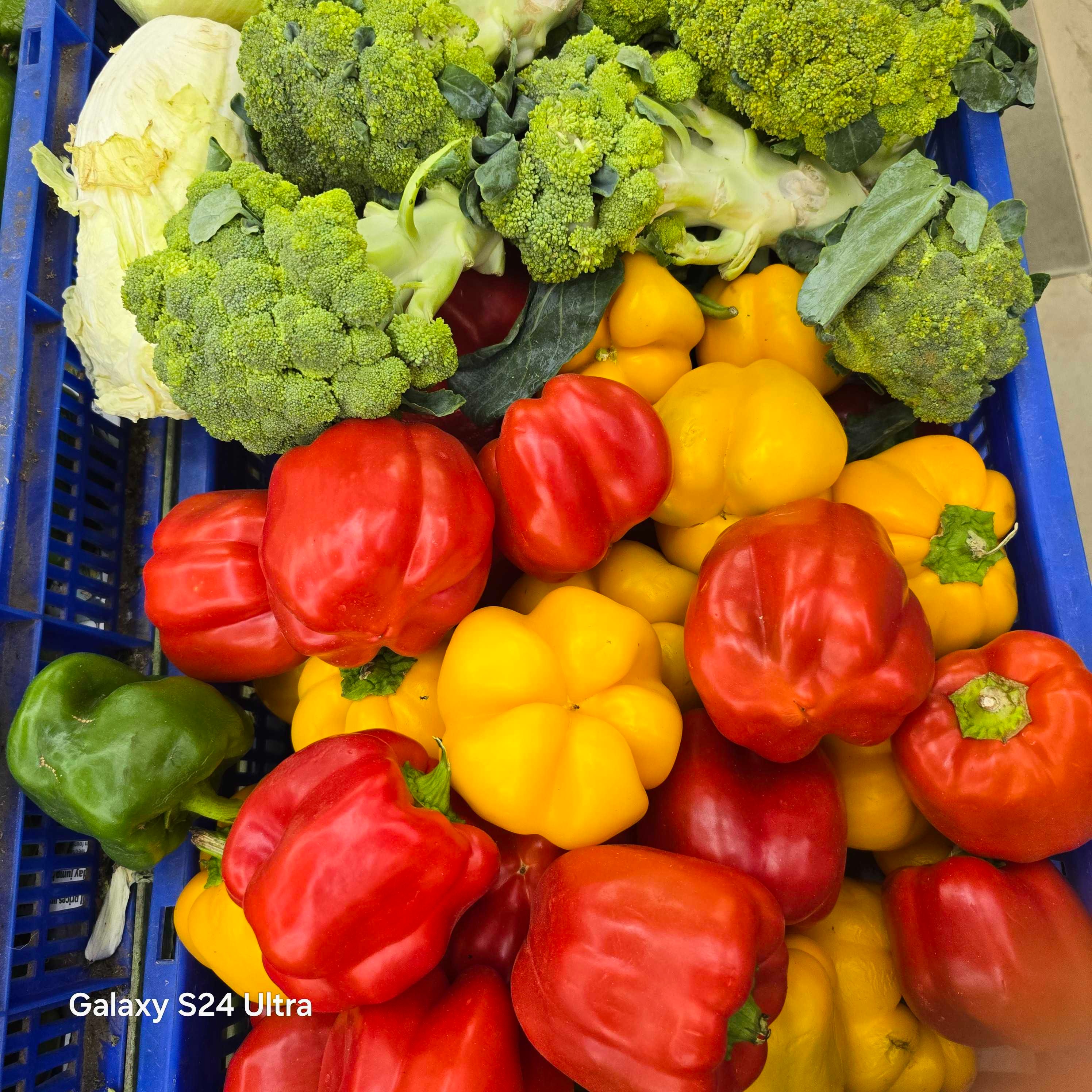 Profile image of seller