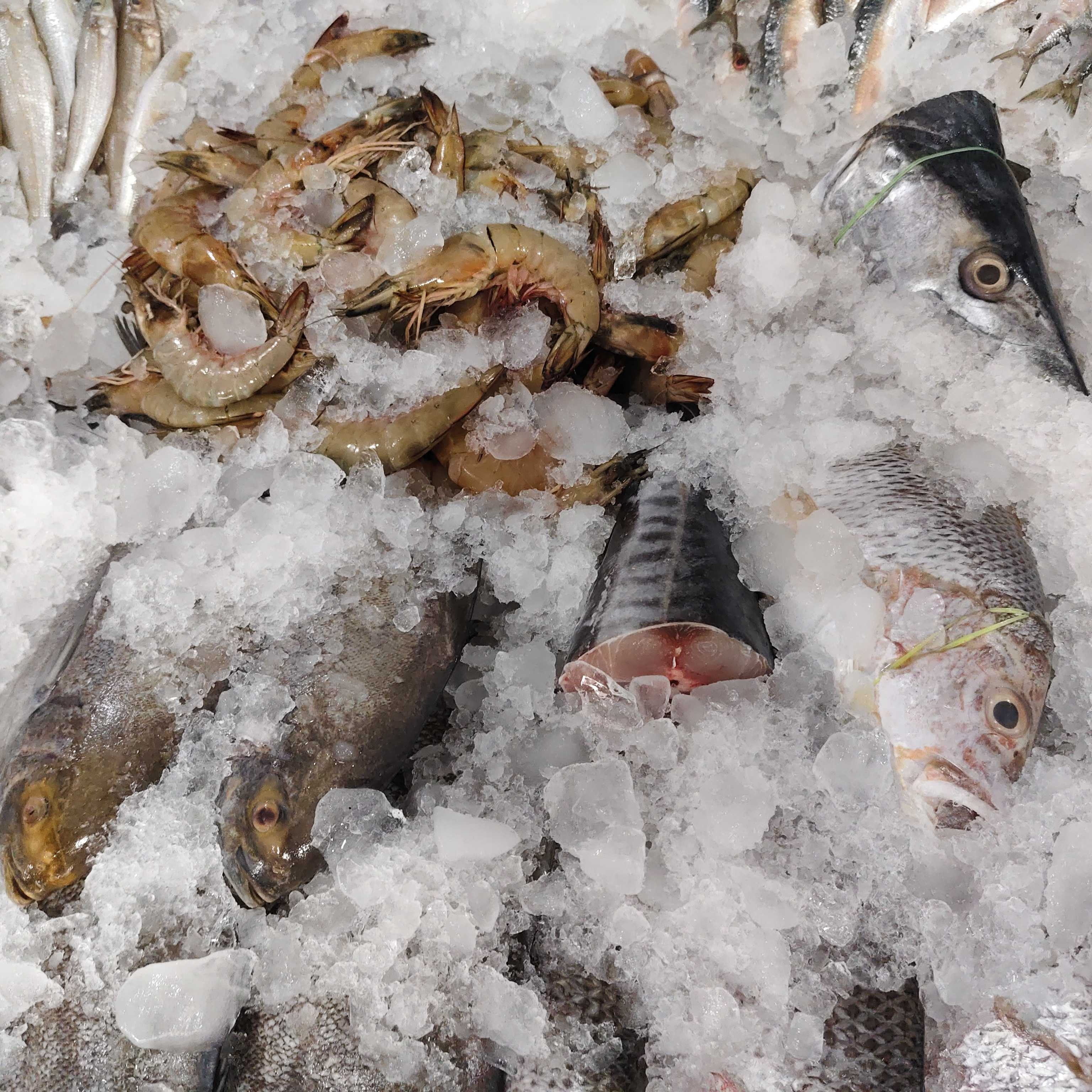 Profile image of seller