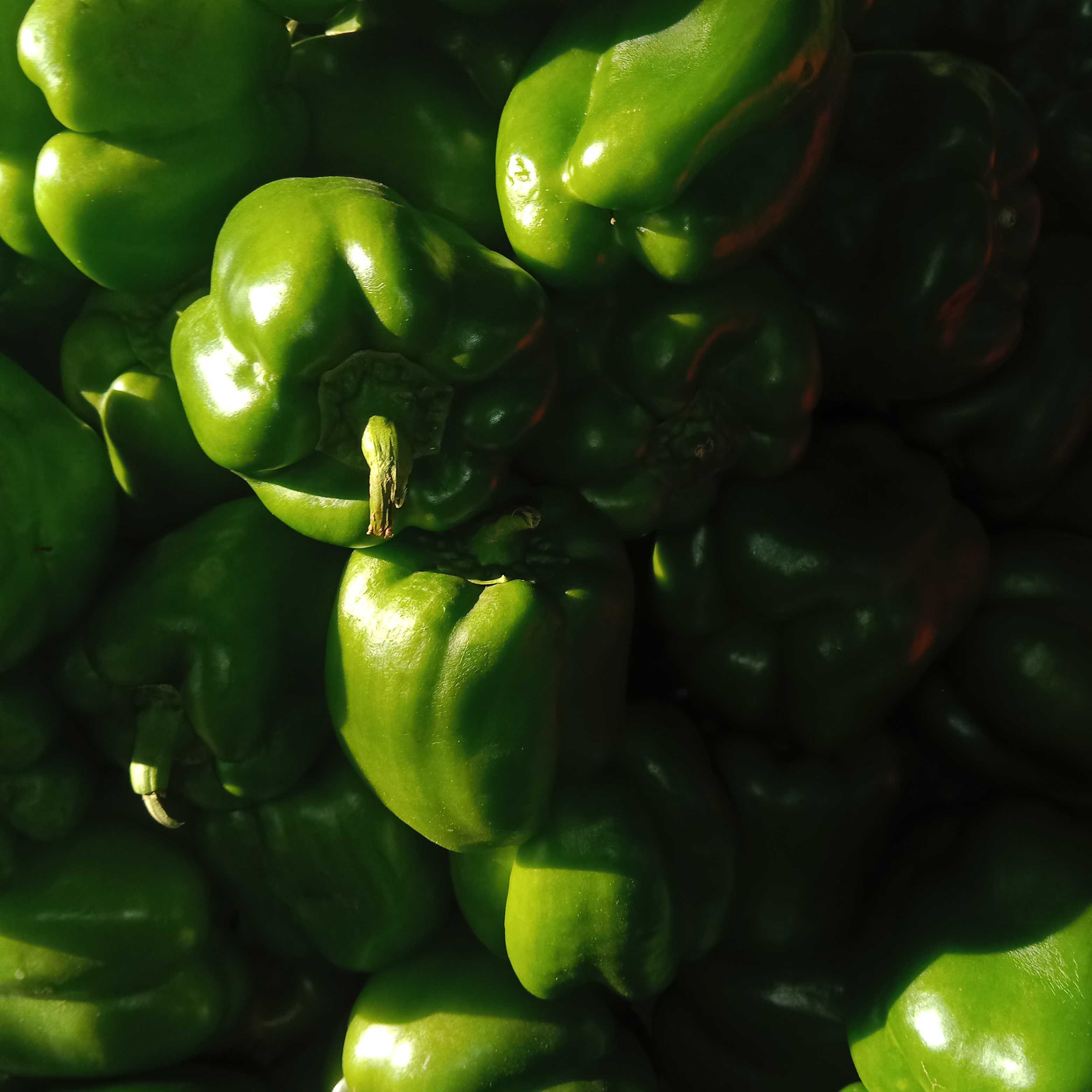 Profile image of seller