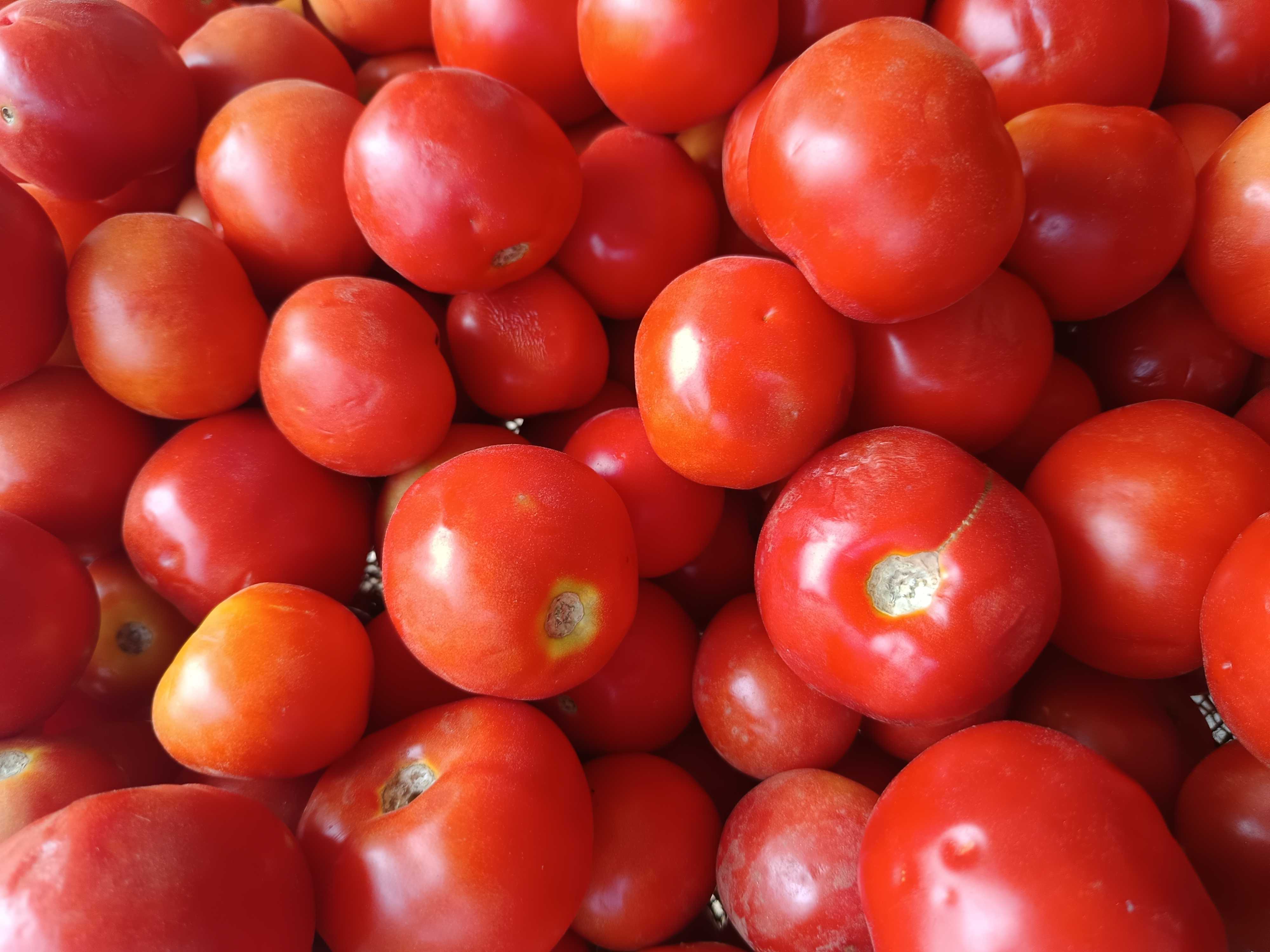 Profile image of seller