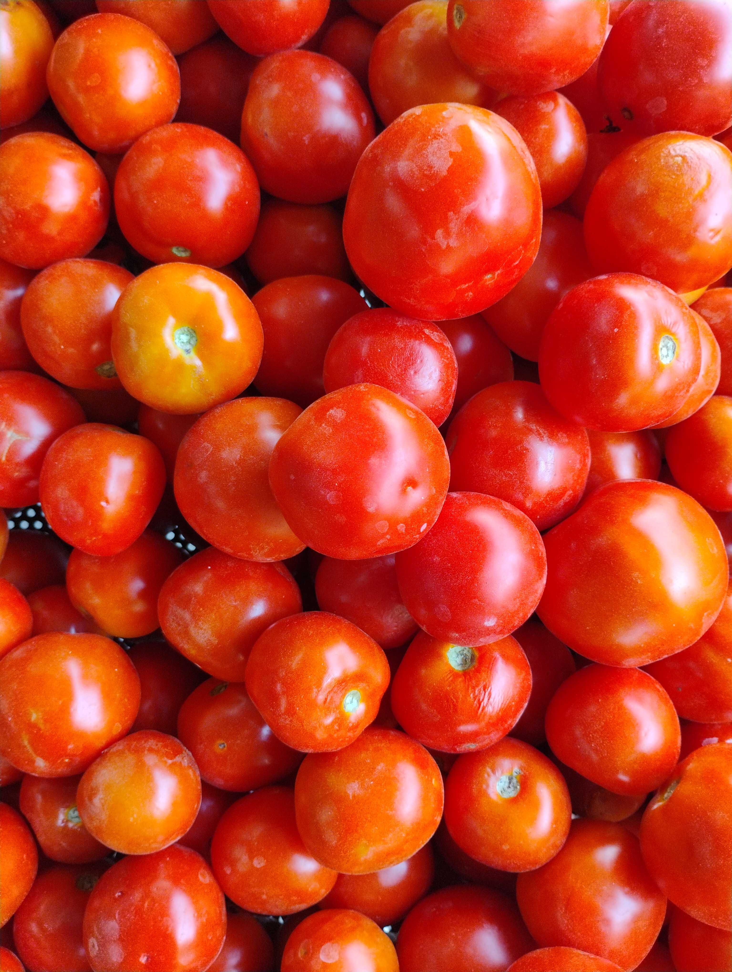 Profile image of seller