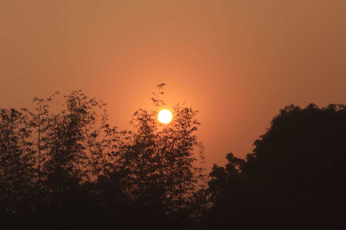 Profile image of seller