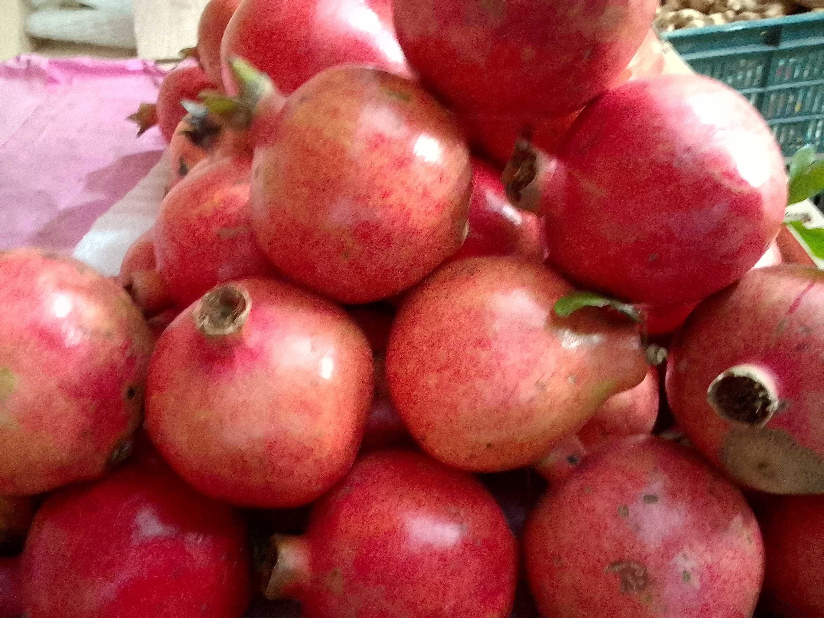 Profile image of seller