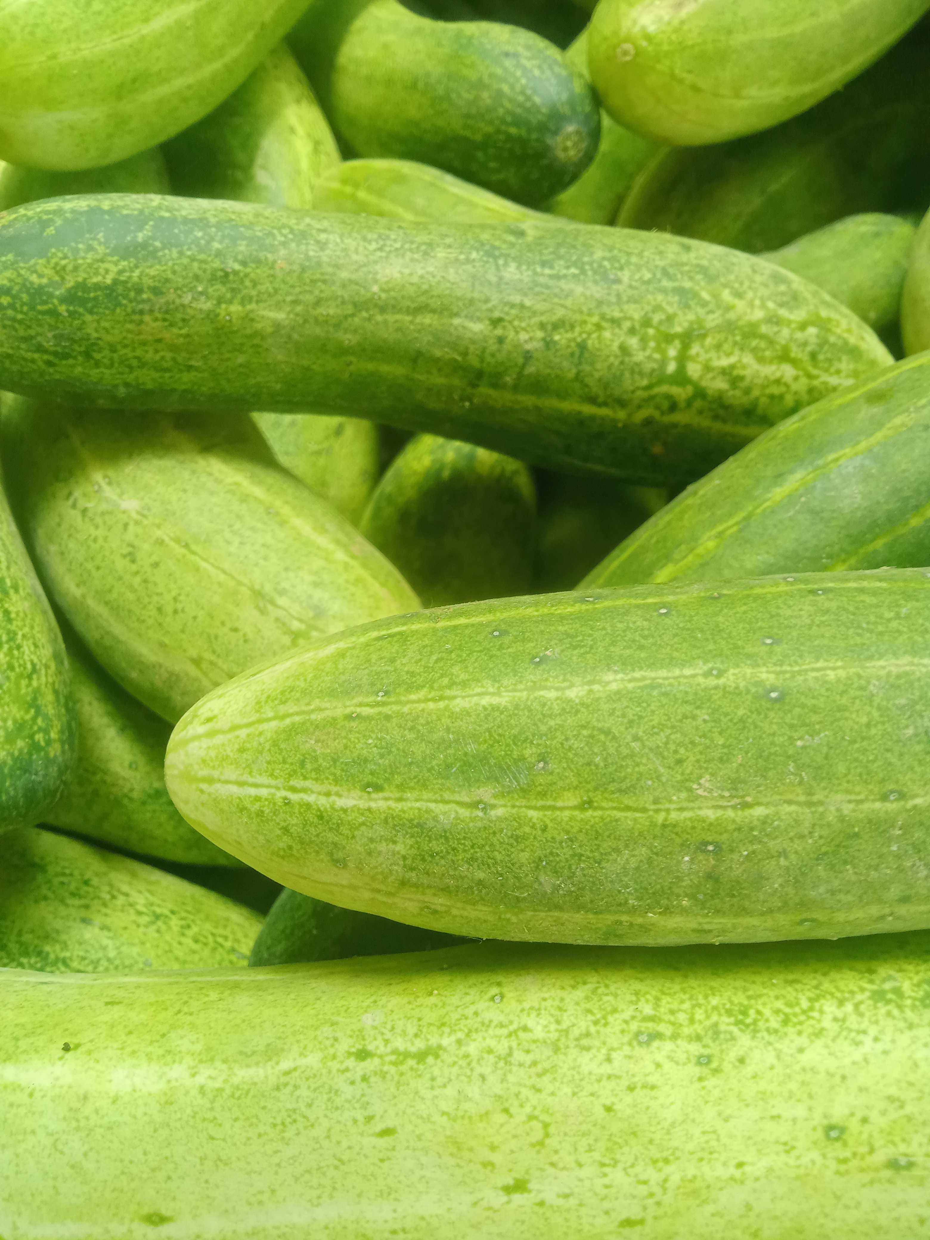 Profile image of seller