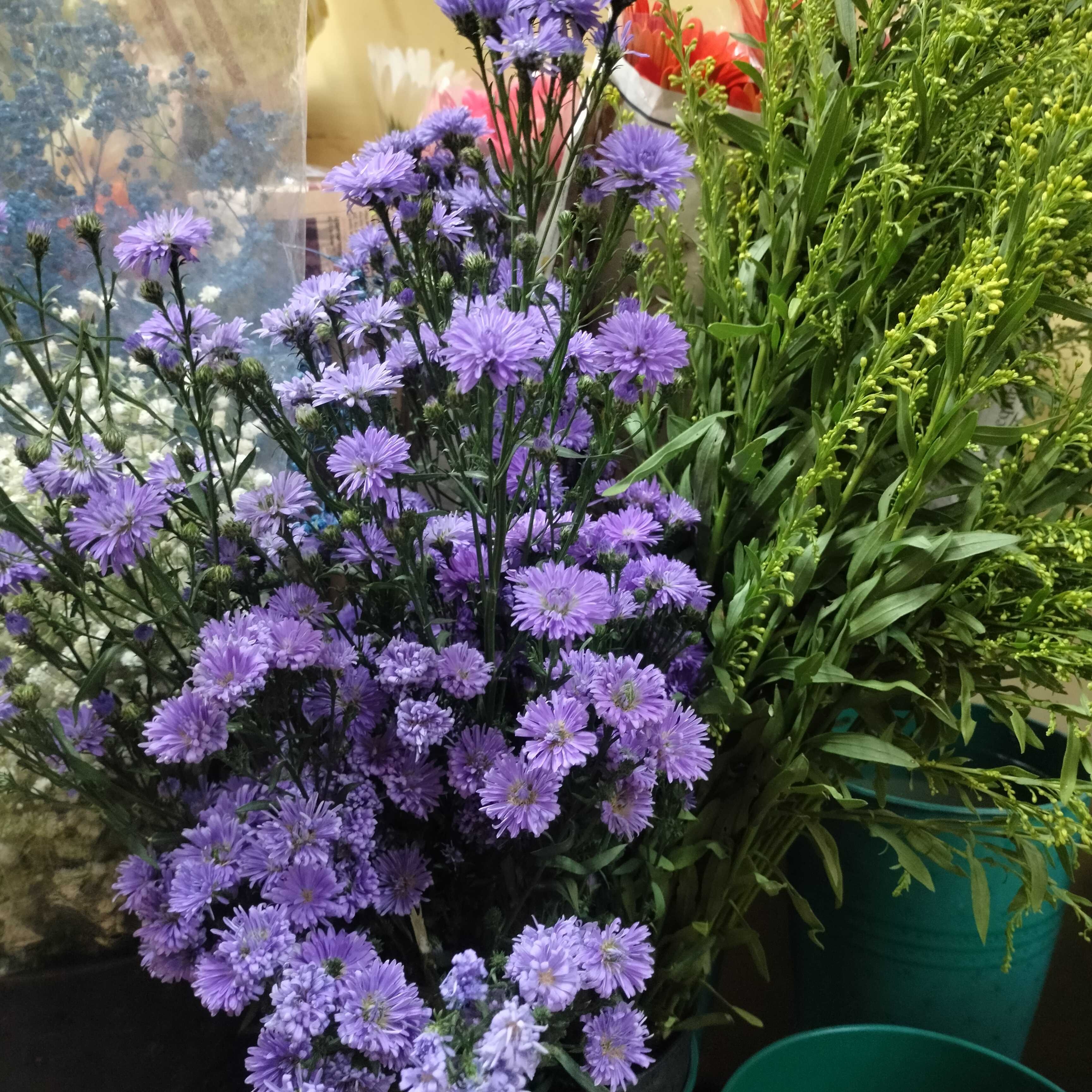 Profile image of seller