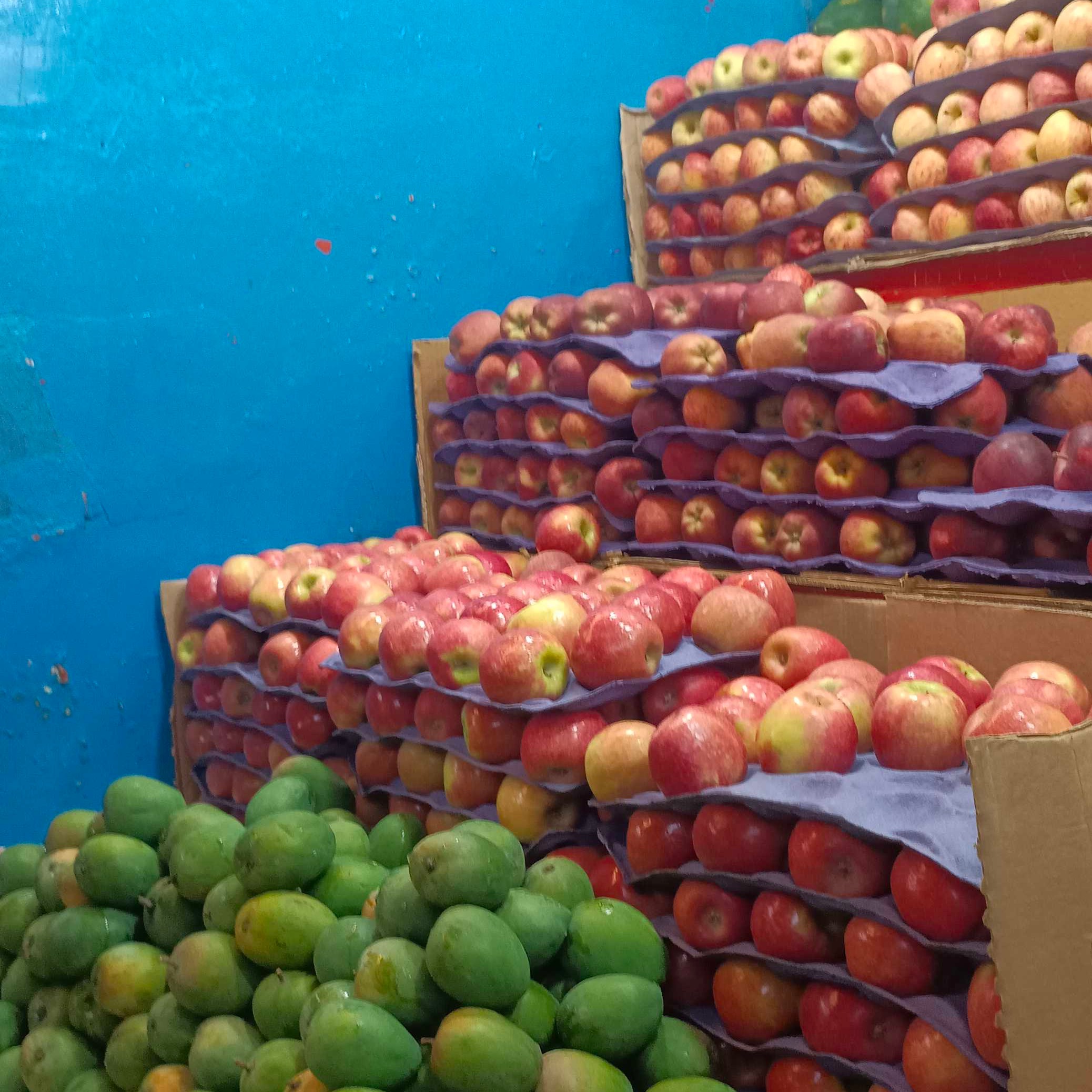 Profile image of seller