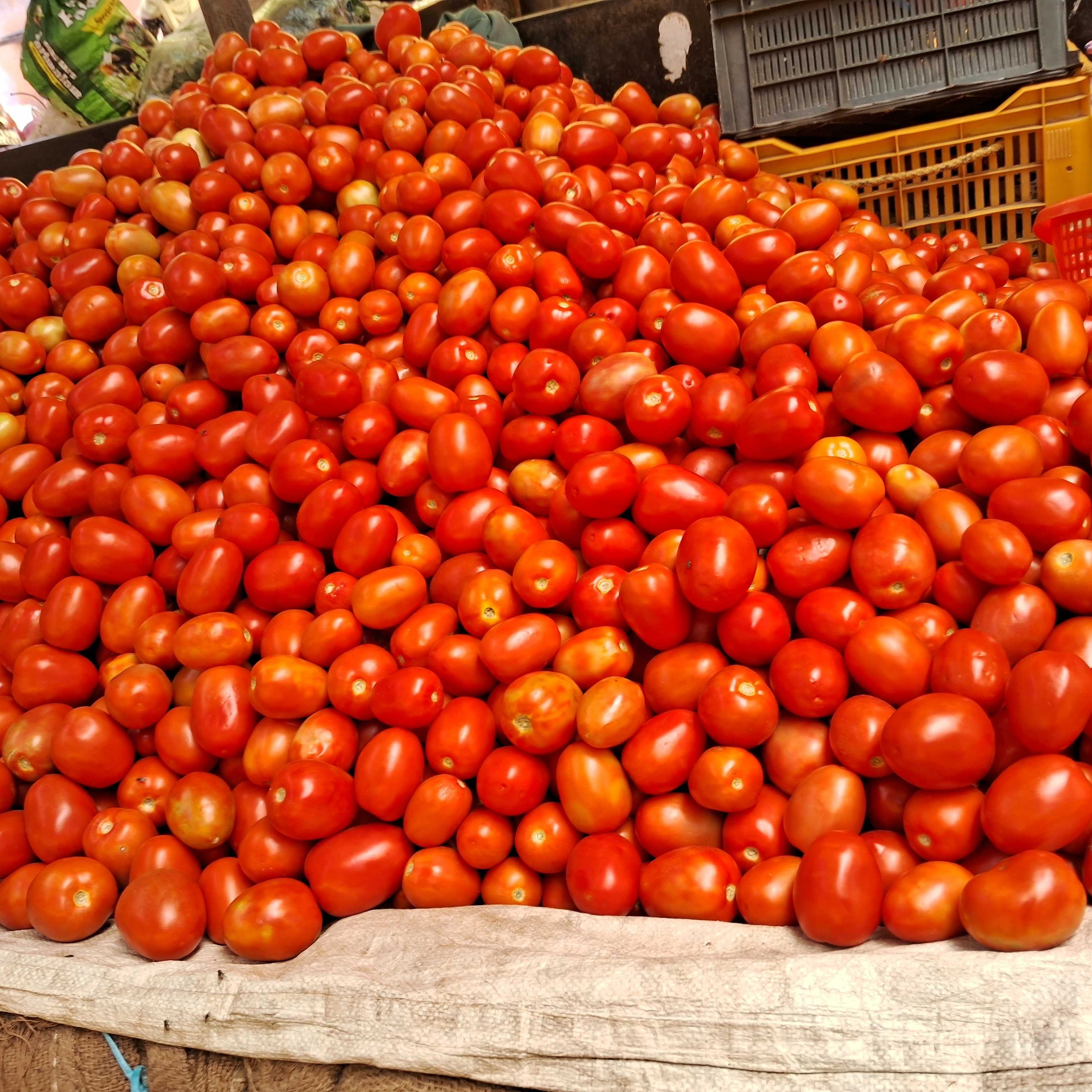 Profile image of seller