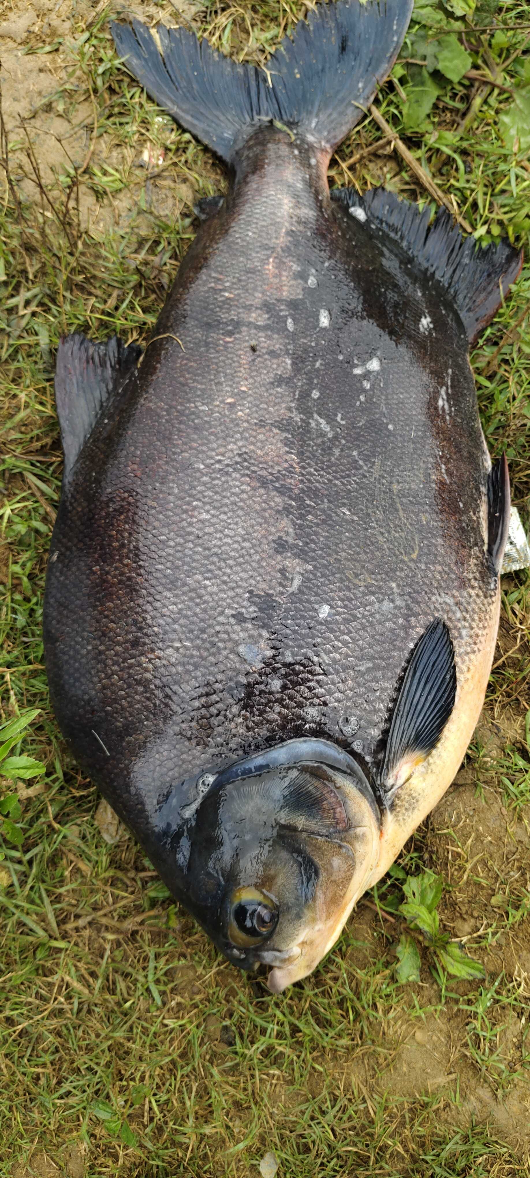 Profile image of seller