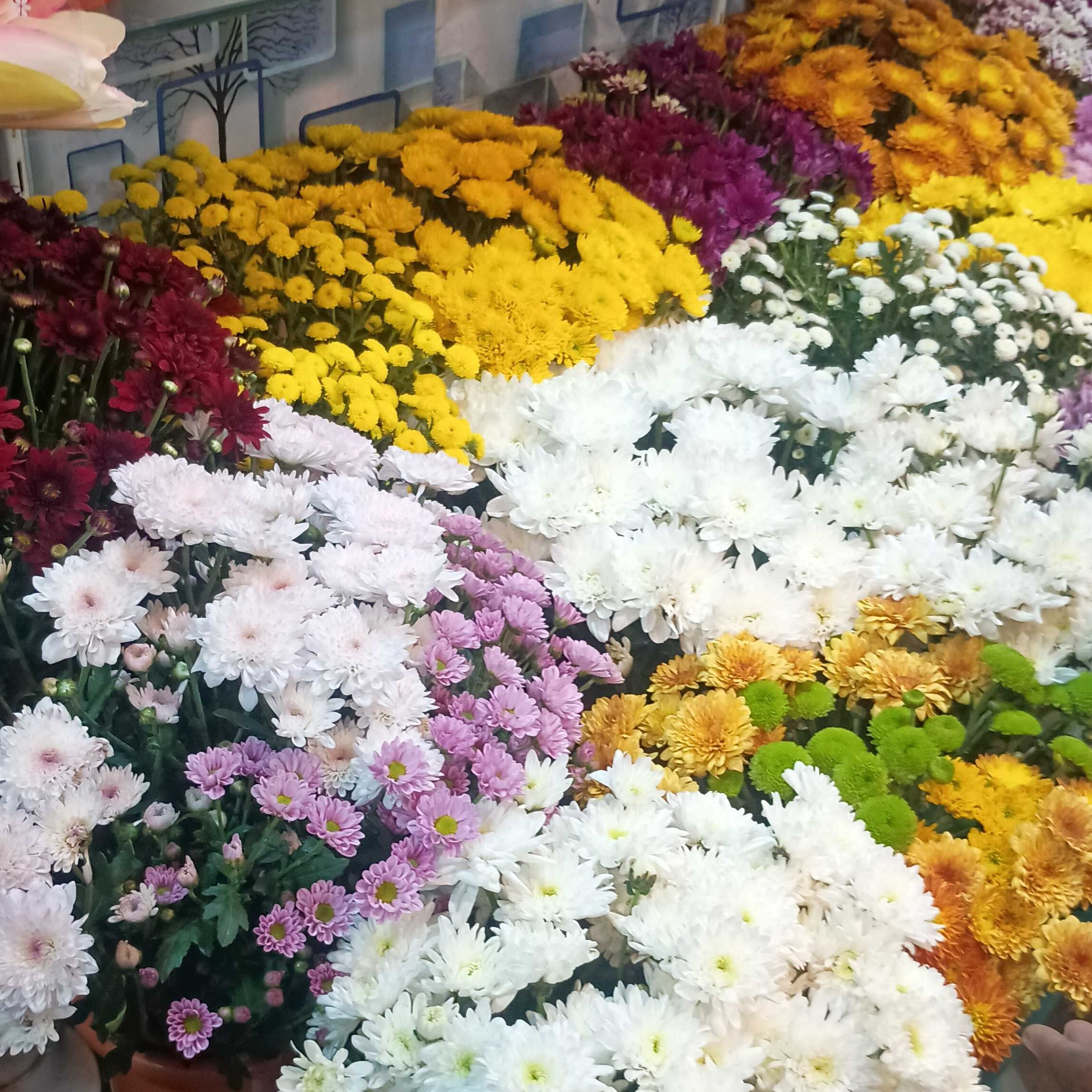 Profile image of seller