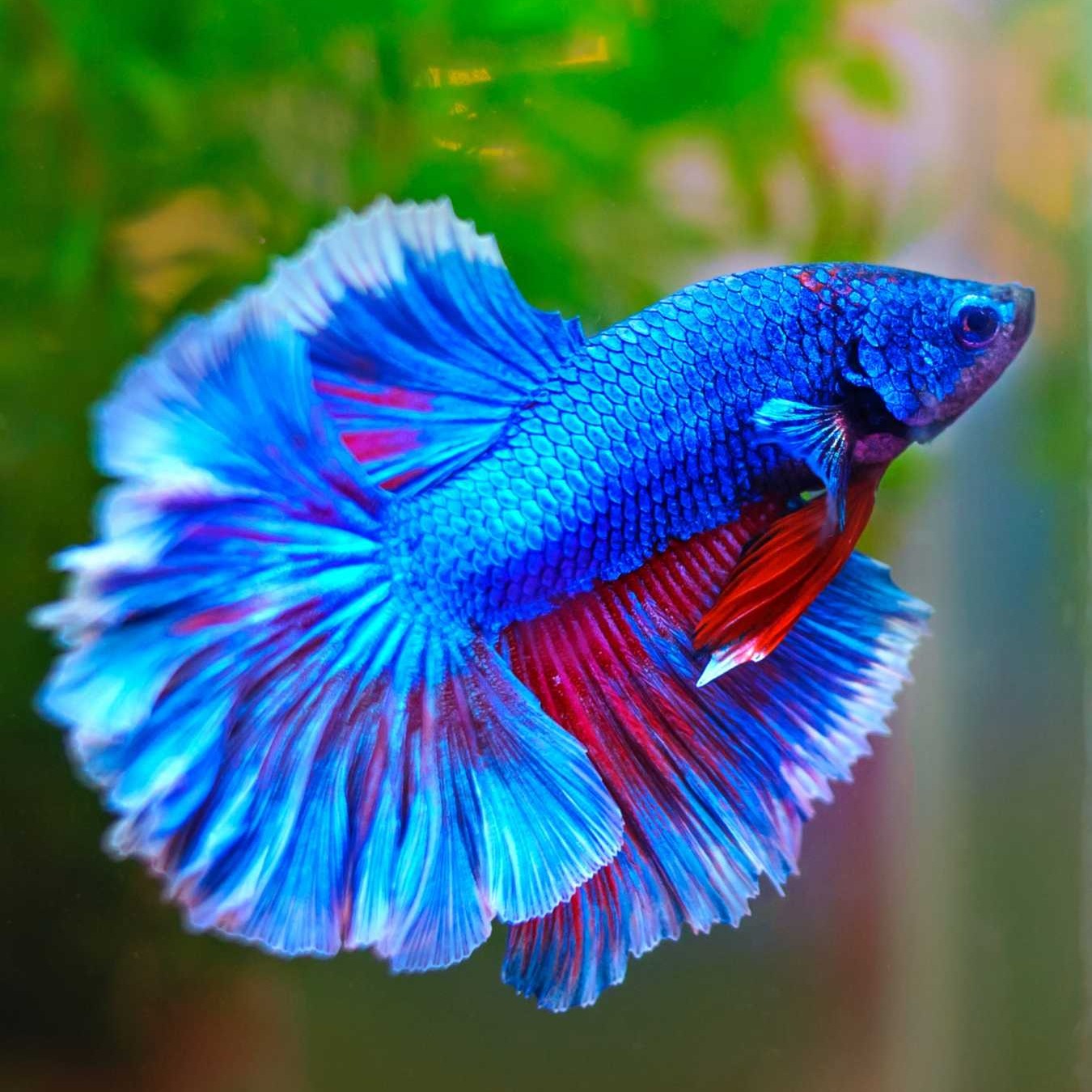 Profile image of seller