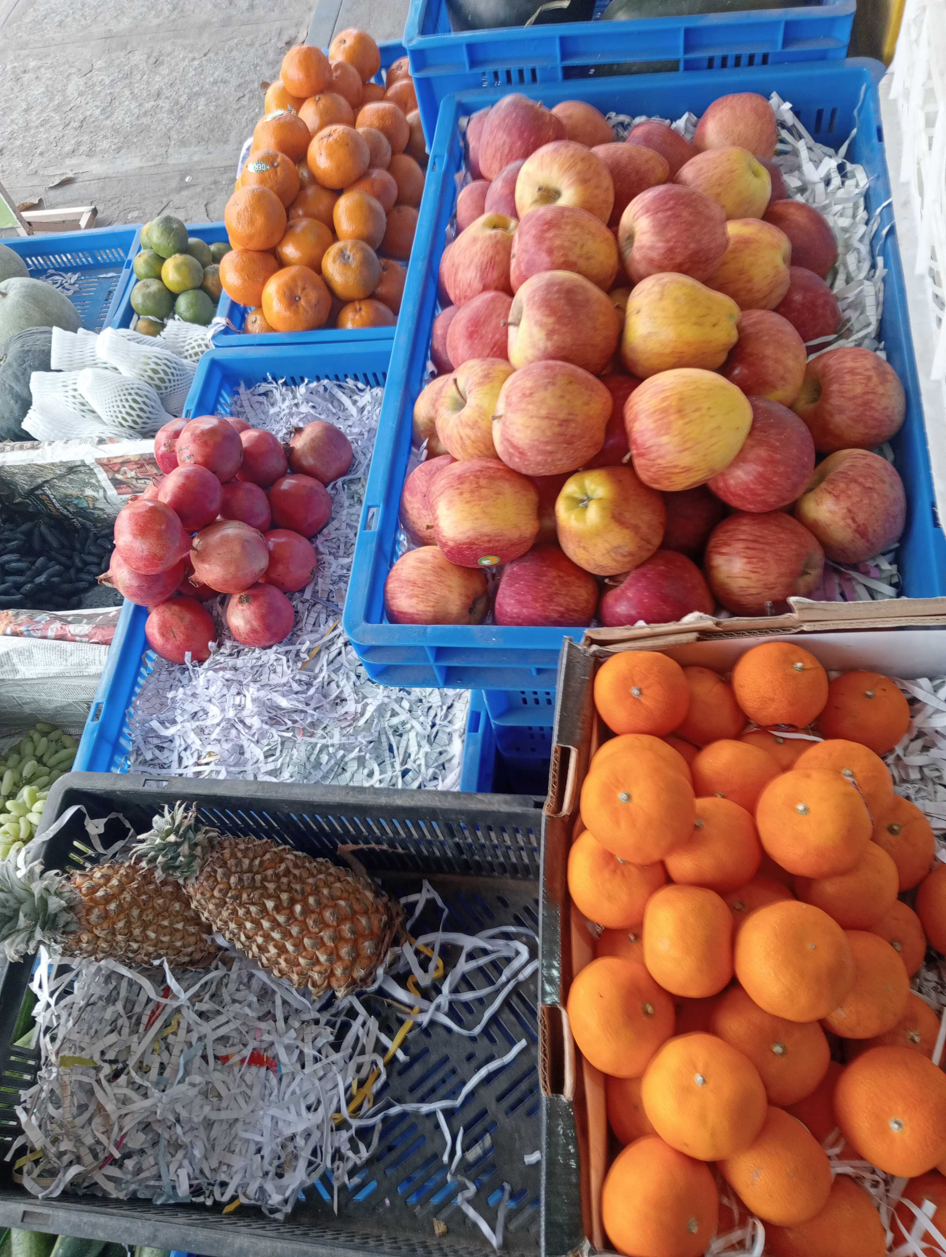 Profile image of seller