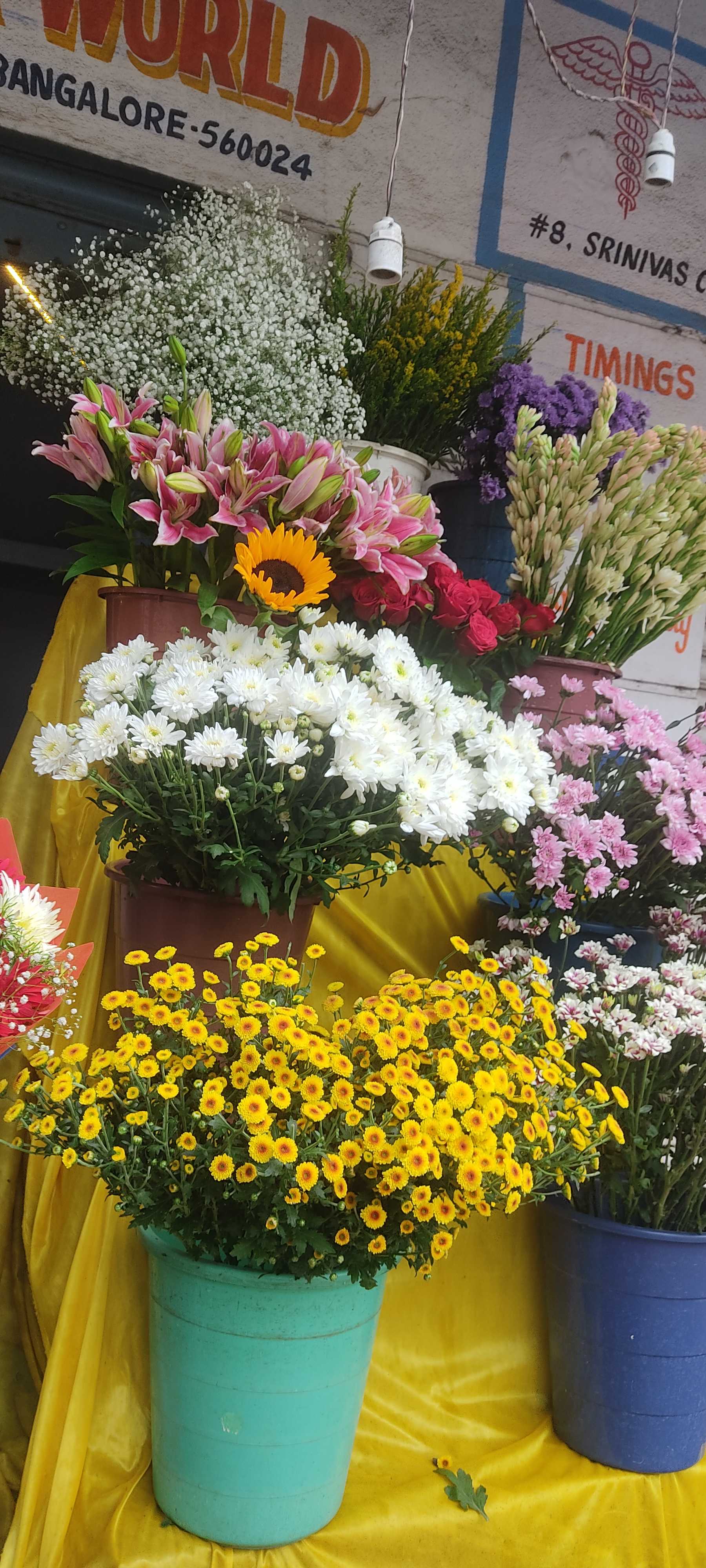 Profile image of seller