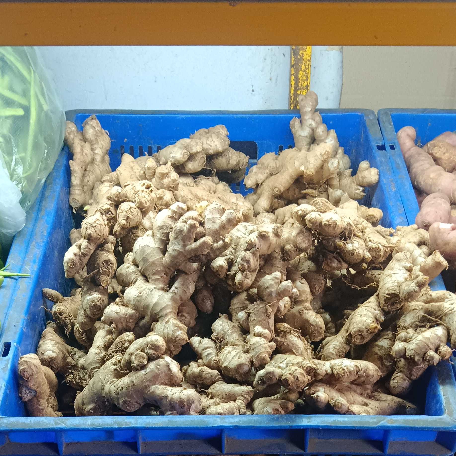 Profile image of seller