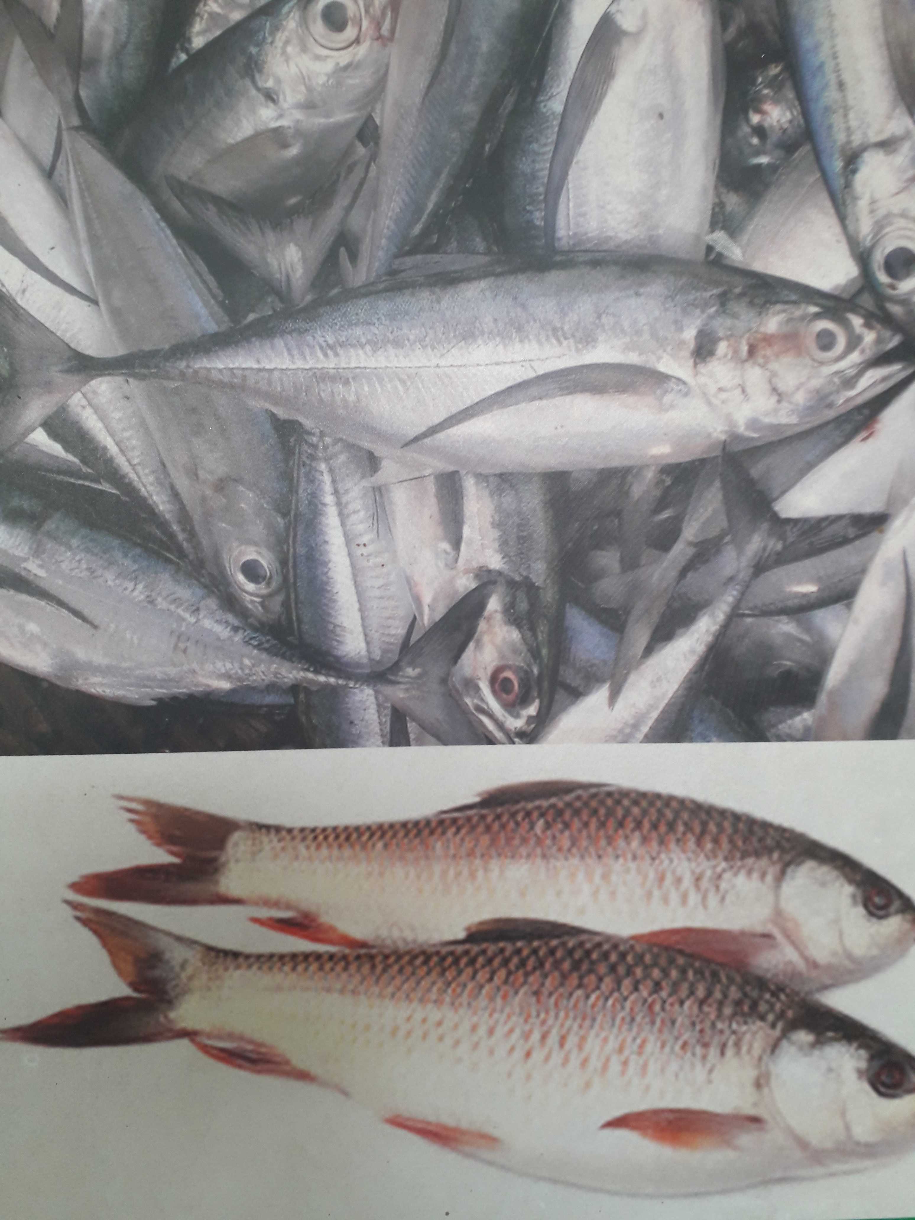 Profile image of seller