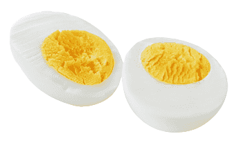 Egg